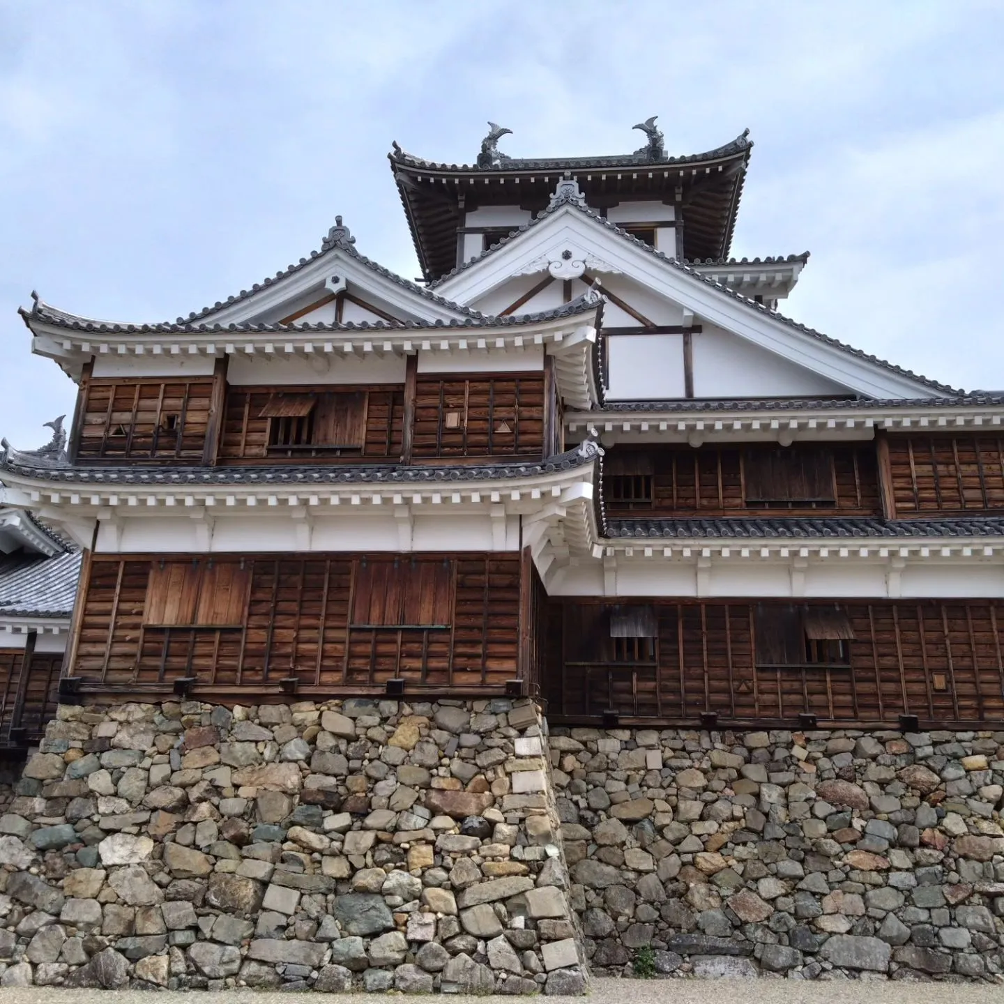 いつもご覧頂きまして誠にありがとうございます