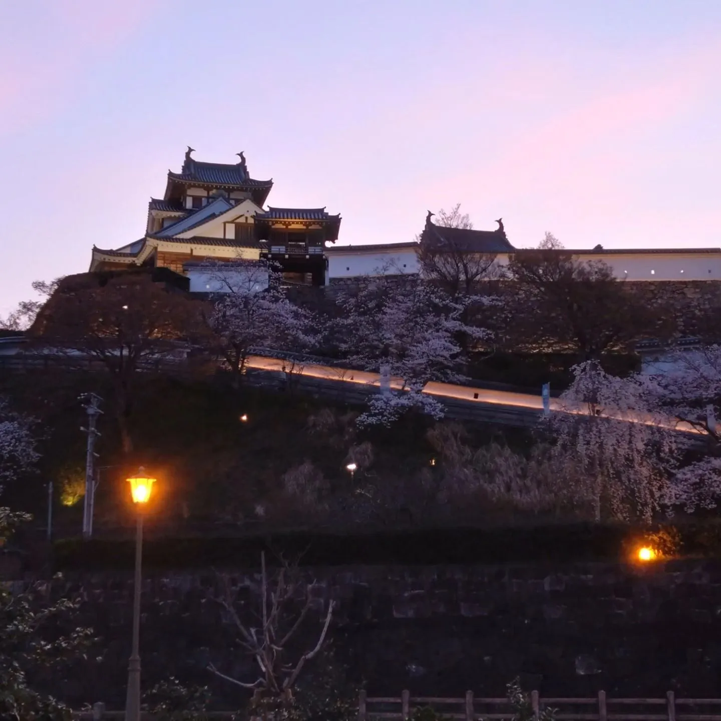 いつもご覧頂きまして誠にありがとうございます