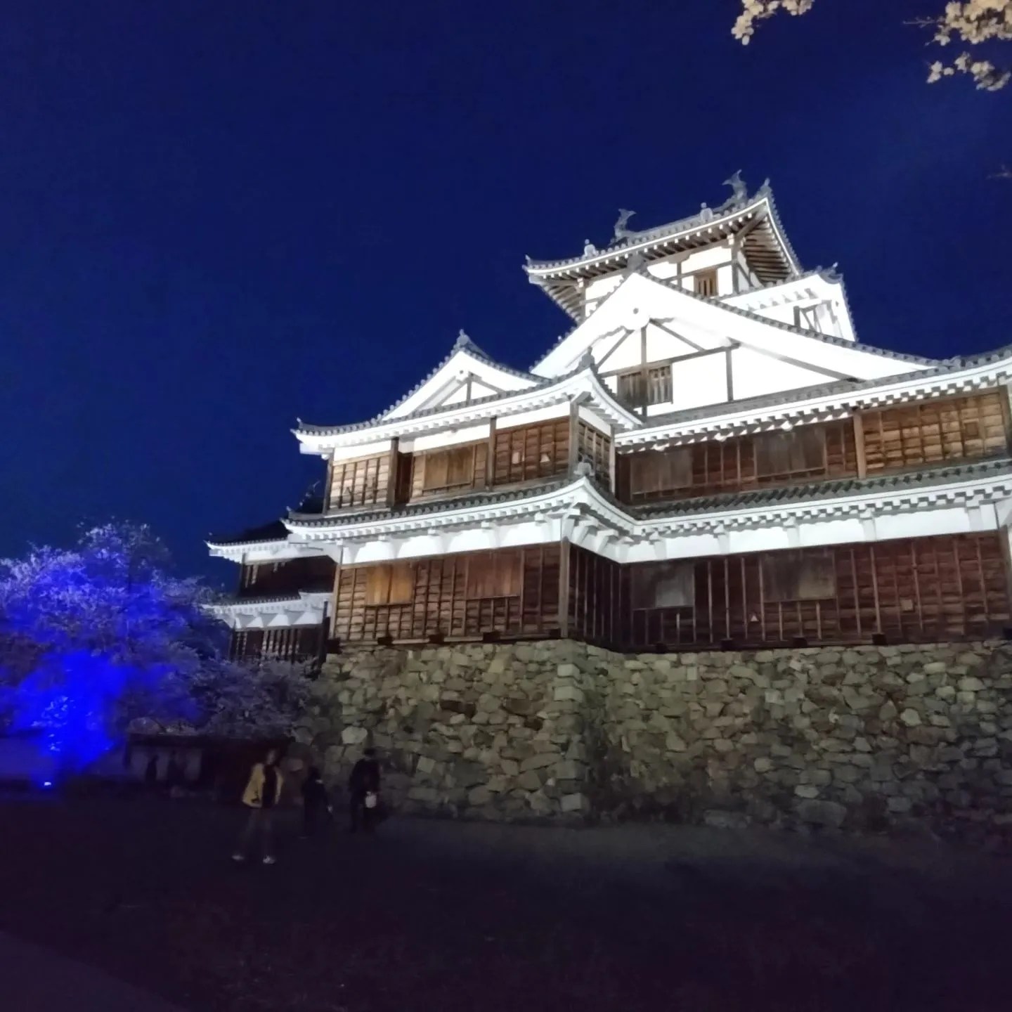 いつもご覧頂きまして誠にありがとうございます