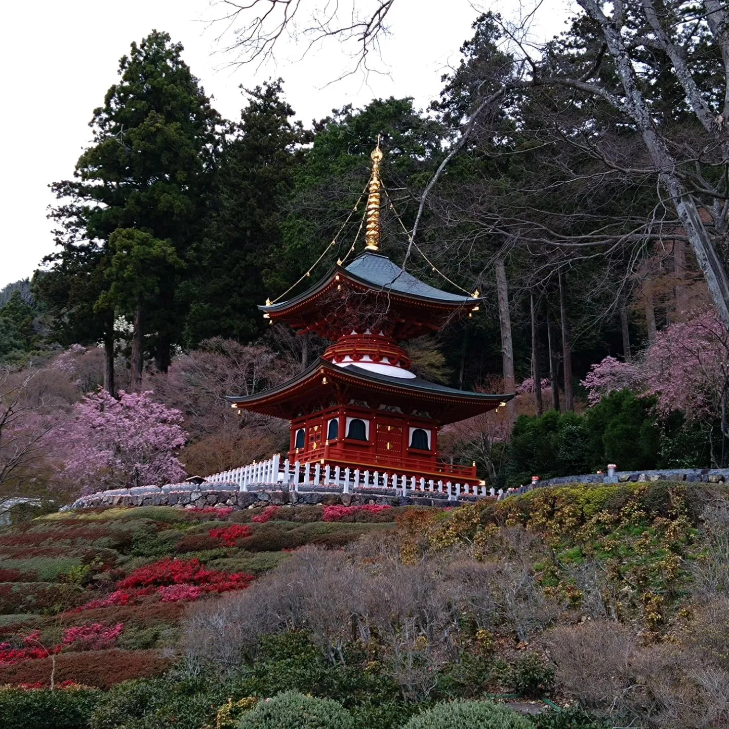 いつもご覧頂きまして誠にありがとうございます。