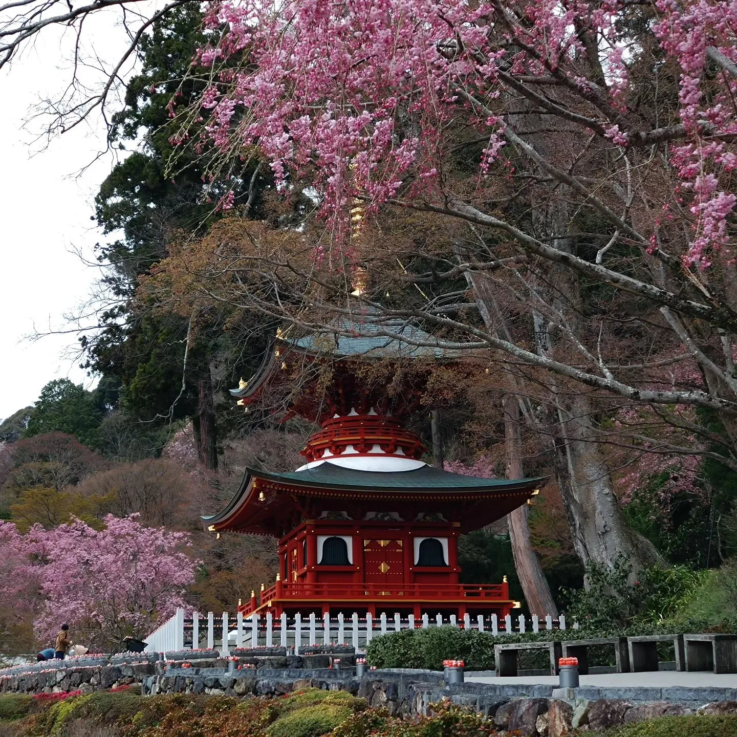 いつもご覧頂きまして誠にありがとうございます。