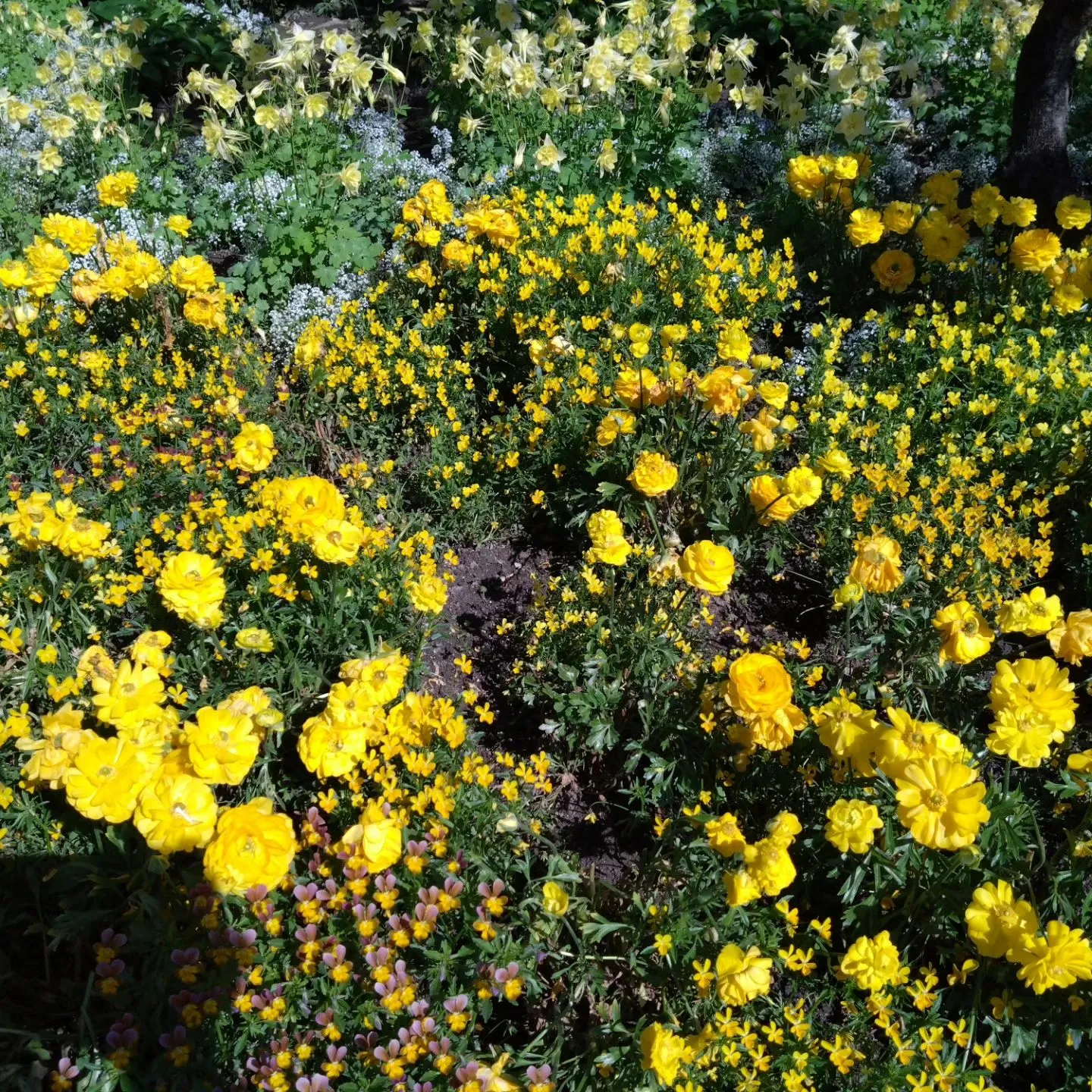 いつもご覧頂きましてありがとうございます。