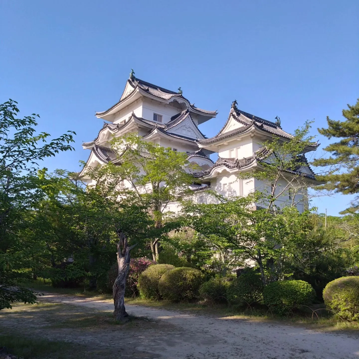 いつもご覧頂きありがとうございます。