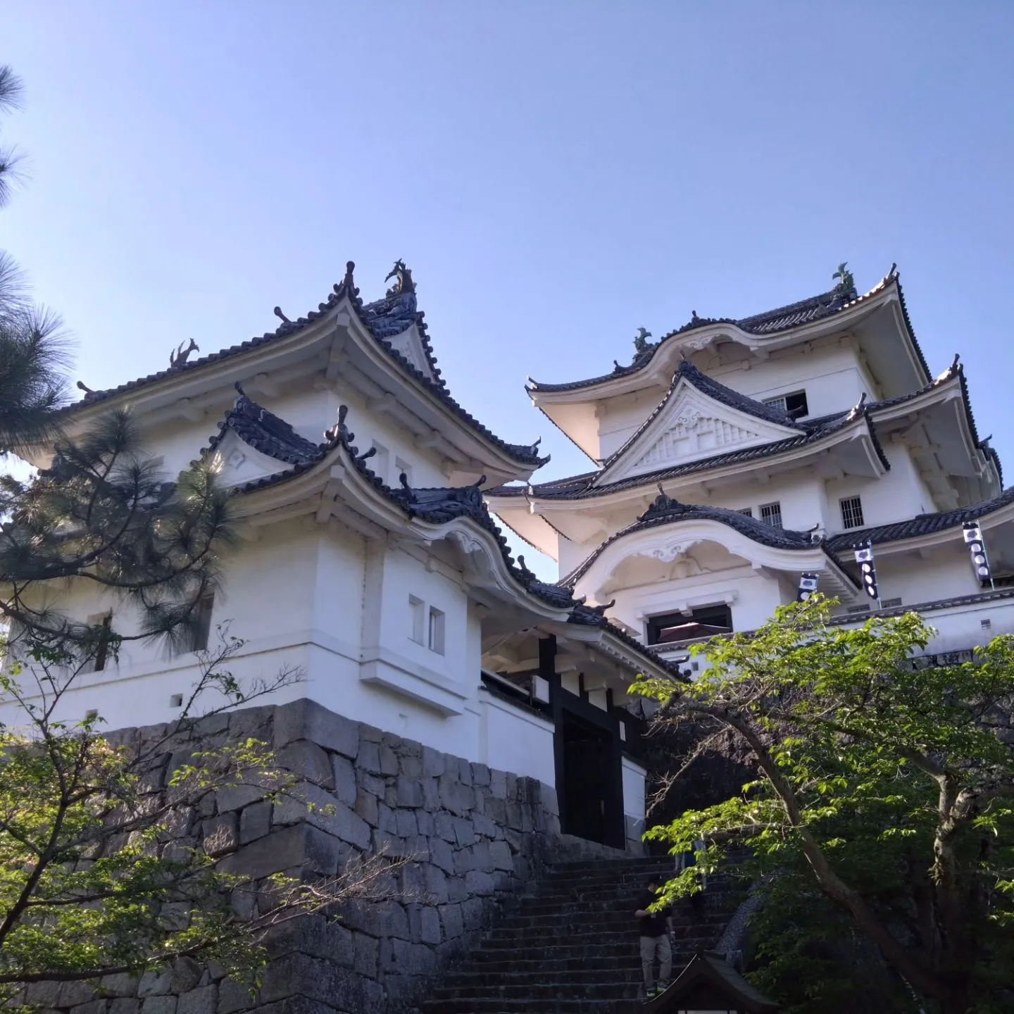 いつもご覧頂きありがとうございます。